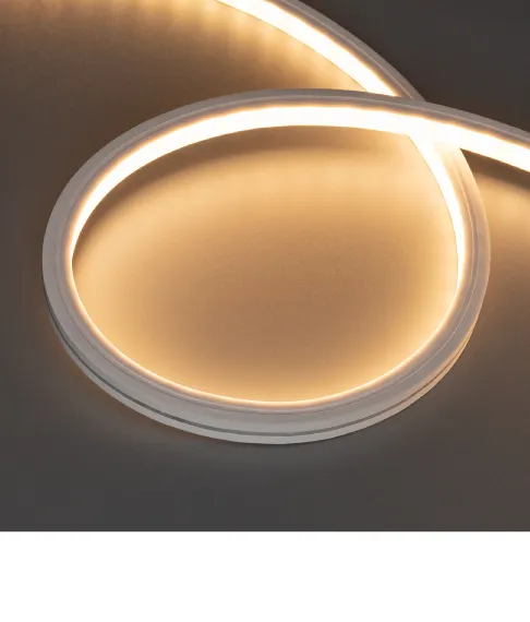 Фото #2 товара THOR 10x10