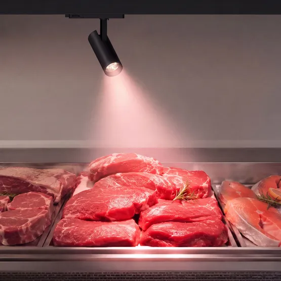 Фото #2 товара Светильник LGD-GERA-4TR-R74-20W Warm SP2900-Meat (Белый, 15 deg, 230V) (Arlight, IP20 Металл, 5 лет)