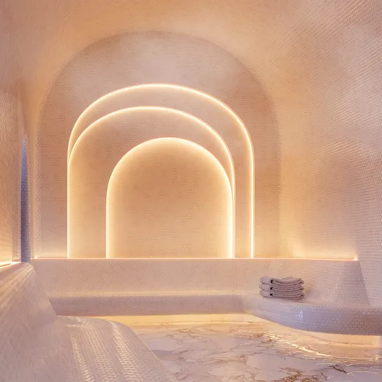 Фото #4 товара Светодиодная лента герметичная COB-PSW-X480-8mm 24V Warm2400 (6 W/m, IP67, TWP100, 5m) (Arlight, CRI>90)