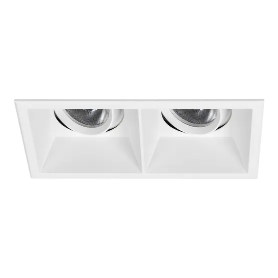 Фото #1 товара Светильник MS-FLOW-BUILT-S157x85-2x12W Warm3000 (WH, 55 deg, 230V) (Arlight, IP20 Металл, 5 лет)