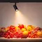 Минифото #2 товара Светильник LGD-GERA-4TR-R74-20W Warm SP3000-Fruit (Белый, 15 deg, 230V) (Arlight, IP20 Металл, 5 лет)