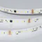 Минифото #2 товара Светодиодная лента DMX-A96-12mm 24V Day4000-PX12 (14 W/m, IP20, 5m) (Arlight, -)